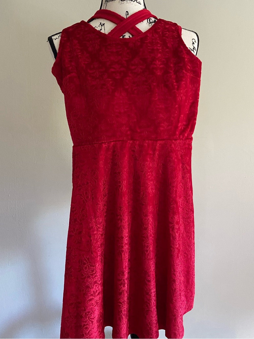 Velvet Skater Dress